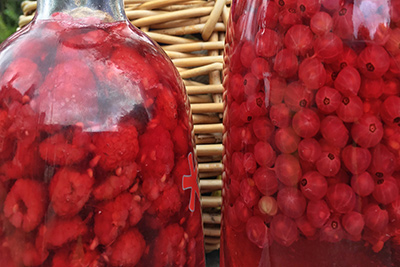 bottles of redcurrant and raspberry gin